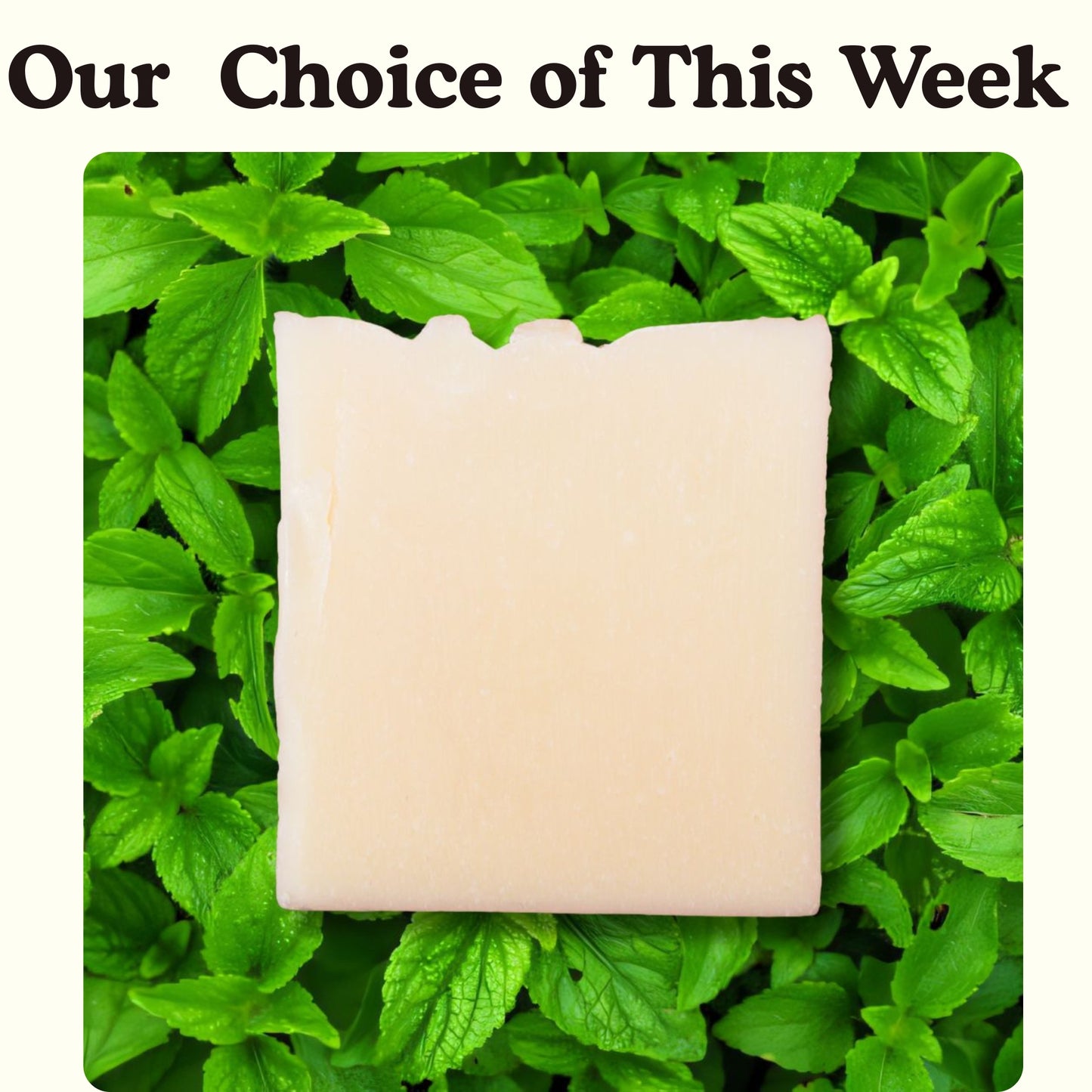 Tallow Soap Bar Natural Peppermint