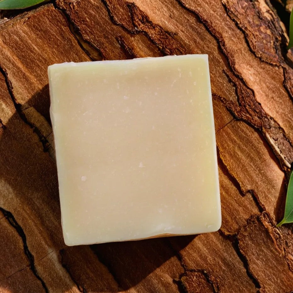 text-block-image-template--28079993192791__ss_text_block_pro_VXgwQF