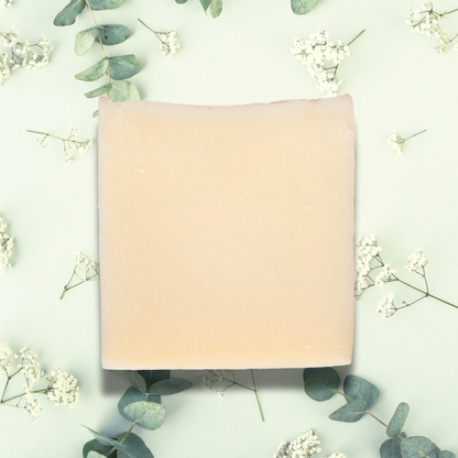 Eucalyptus Tallow Soap Bar, Natural Organic