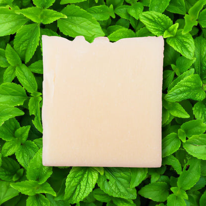 Peppermint Tallow Soap Bar, Natural, Organic