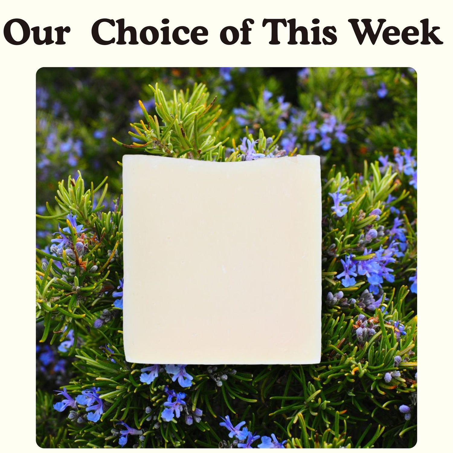 Tallow Soap Rosemary 