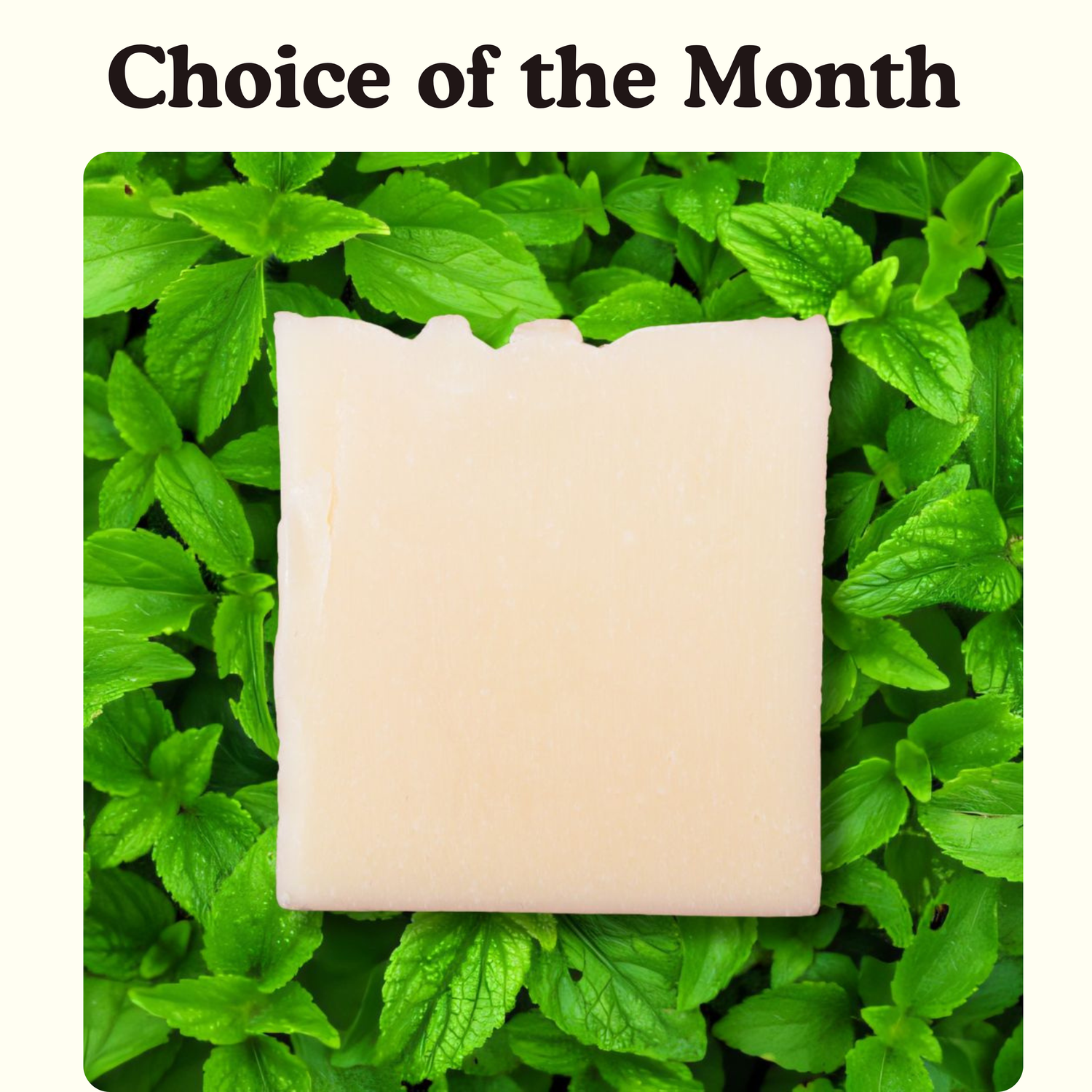 Peppermint Tallow Soap Bar