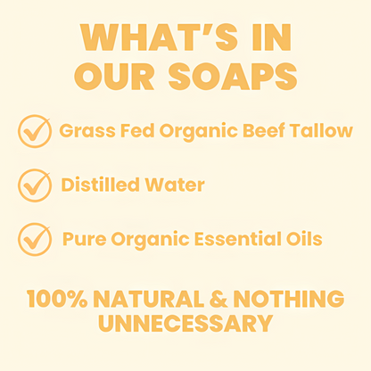 Coastal Awakening - Limited Edition